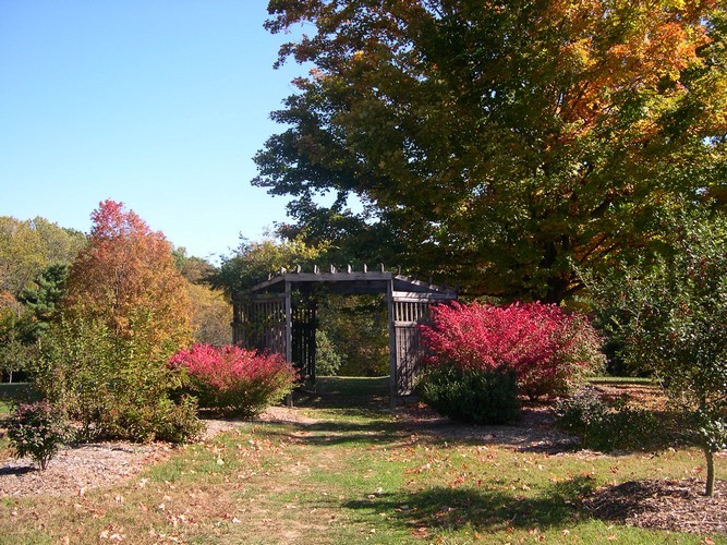 Dawes Arboretum