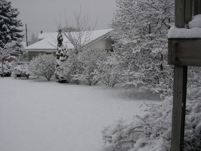 snowy winter afternoon