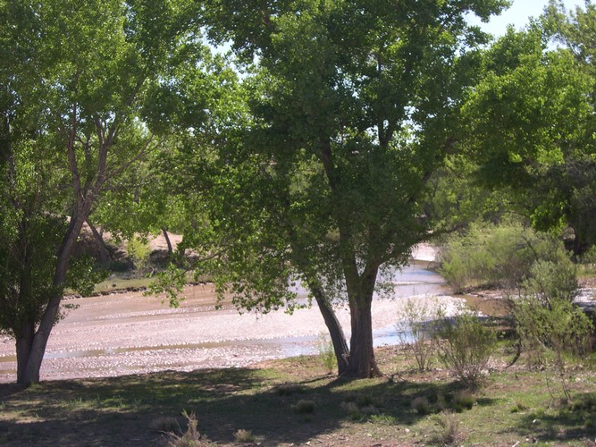 Lukachuka Creek running into Canyon de Chelly