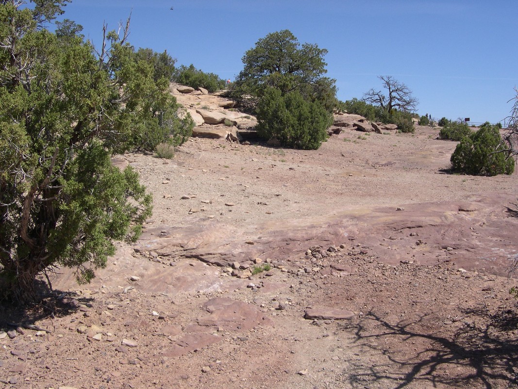 smoothrock on Canyon de Chelly rim