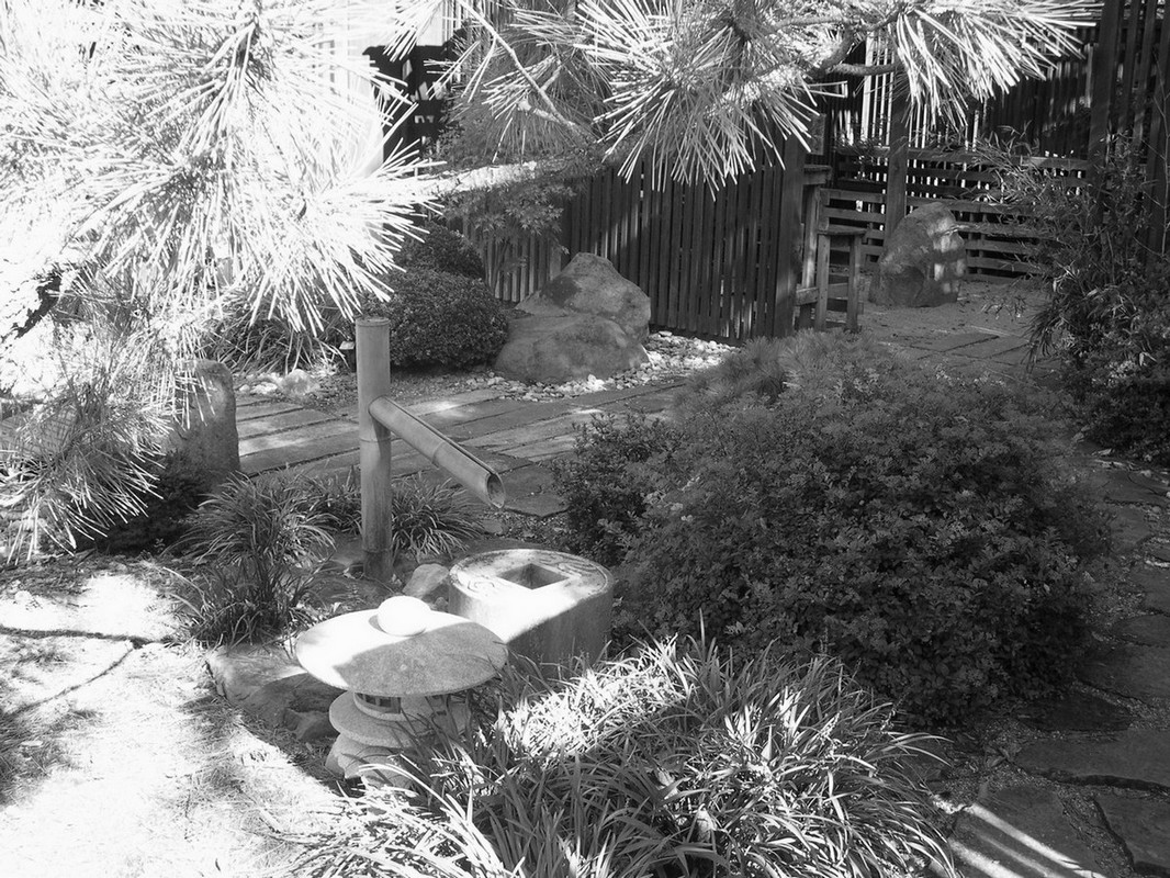 bonsai garden at Dawes Arboretum