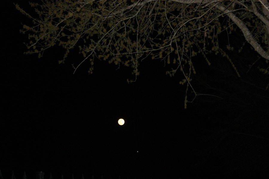 June moon over Houston