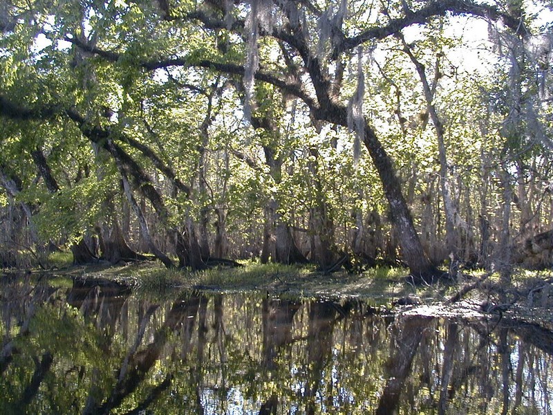 St. Johns River - Florida