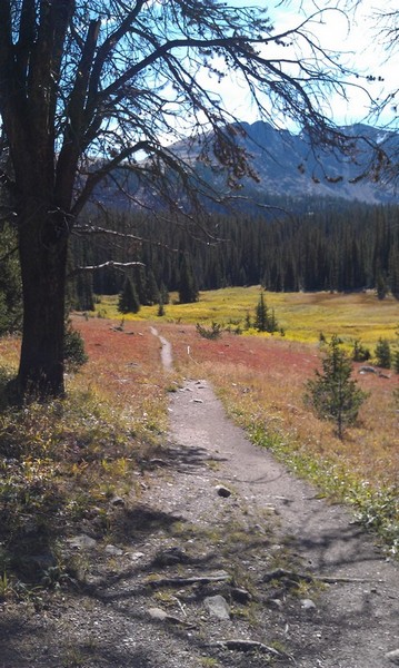 trail to Columbine Lake, Indian Peaks Wilderness