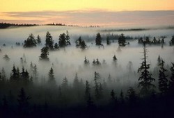 foggy valley, photo by Larry Workman