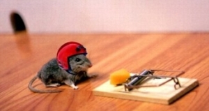 mouse at mousetrap