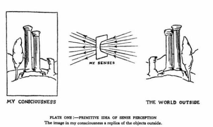 primitive idea of sense perception