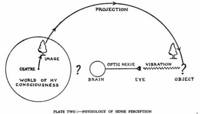 physiology of sense perception