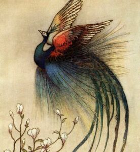 colorful plumage